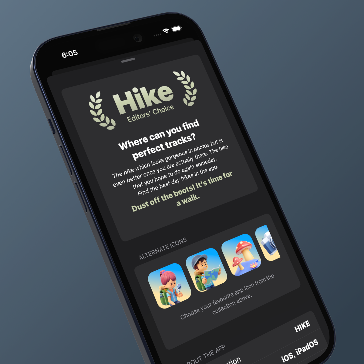 Setting up a widget