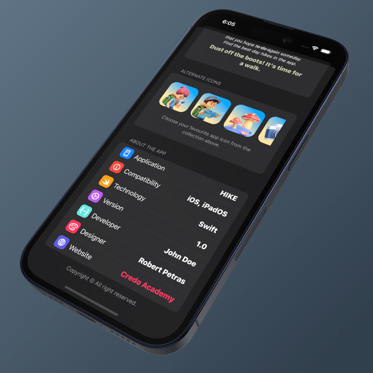 iOS Widgets
