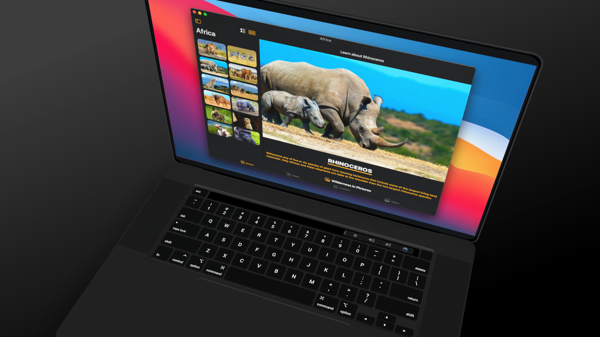 macOS applicaiton